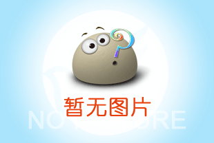 成華小吊機：人工輕型吊機裝修吊裝得力助手